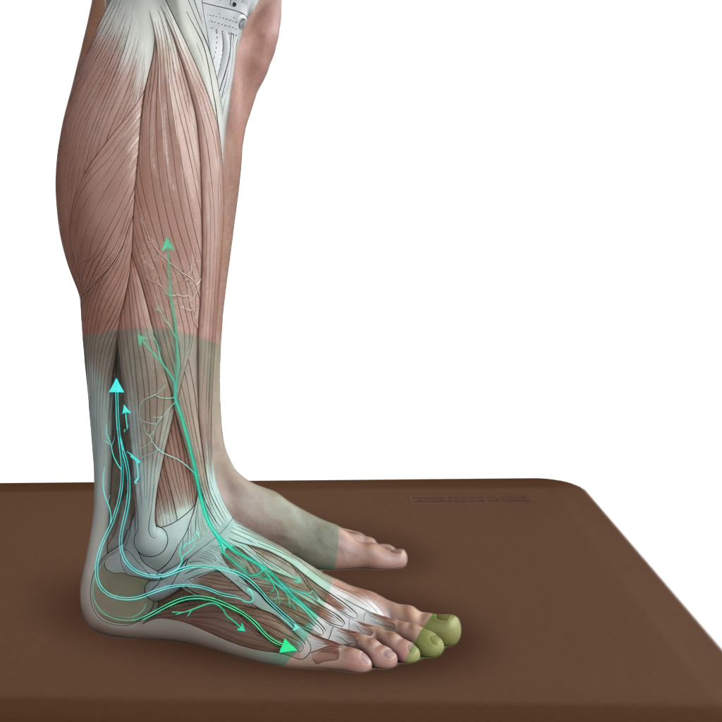 What are Micro-Movements