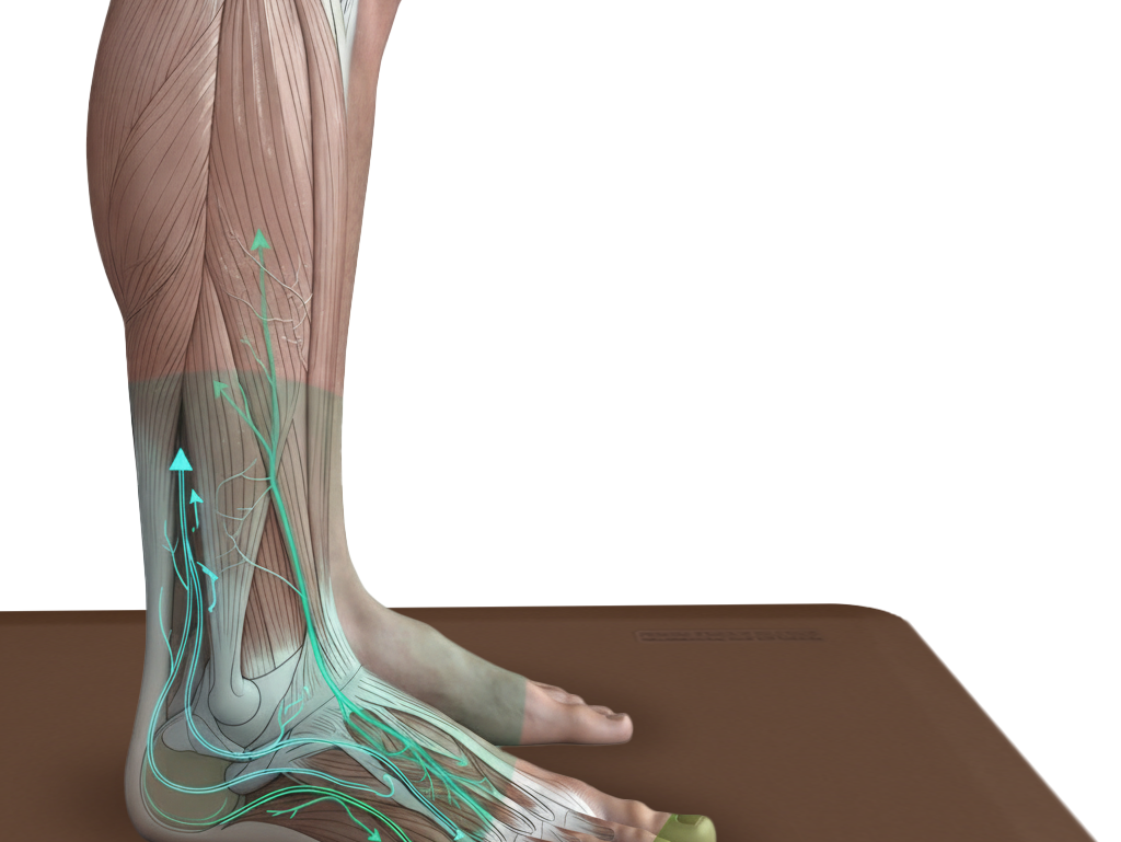 What are Micro-Movements