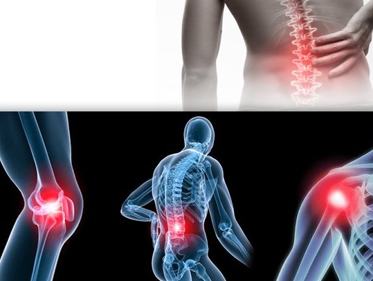 The ROI of Ergonomics: 4 Stats Every Smart, Strategic Buyer Should Know