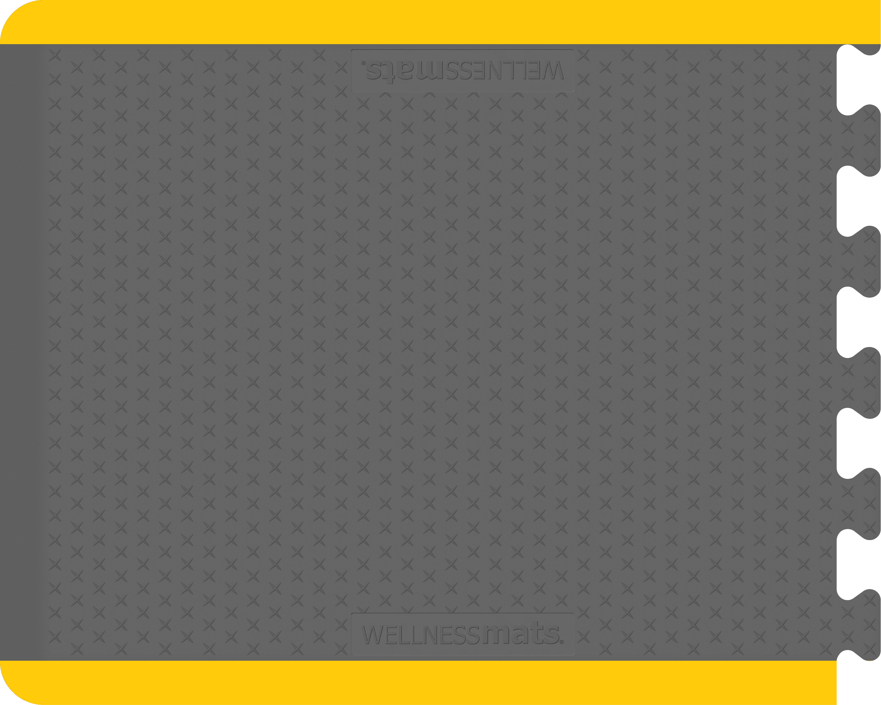 Gray Traxtion end piece with yellow safety.